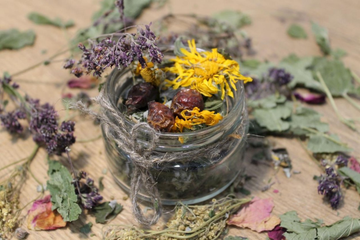 Рицептлекарственные растения