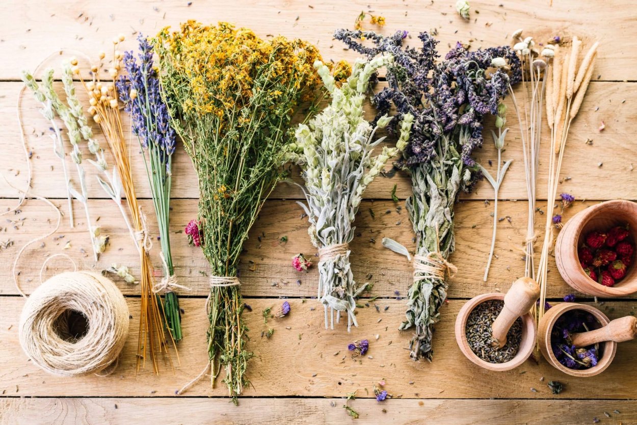Букет лекарственных трав