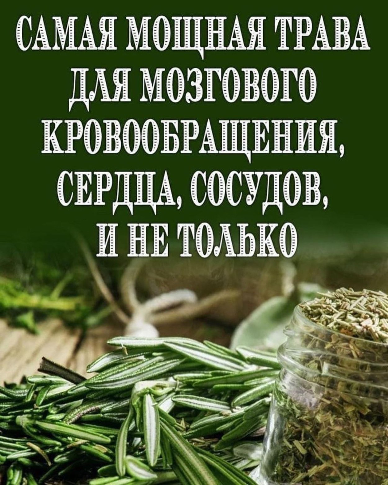 Лекарственные растения чистотел