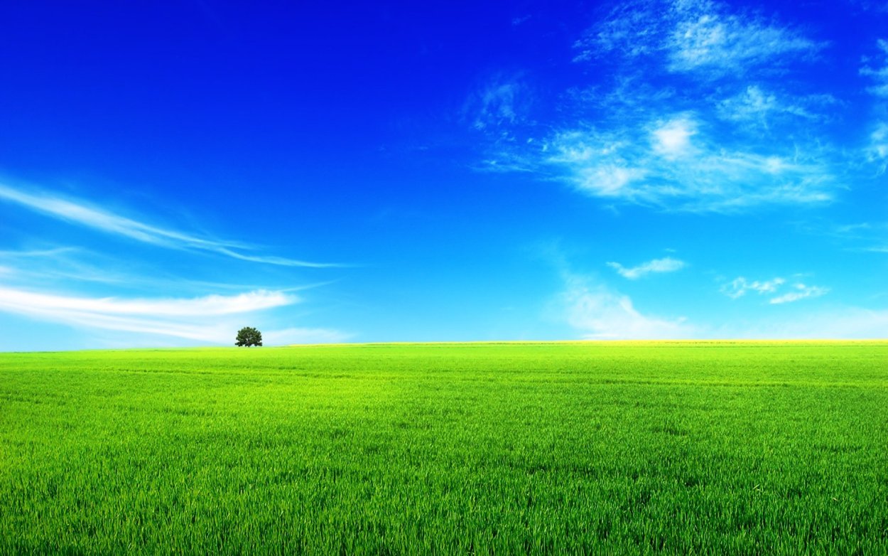 Газон и небо