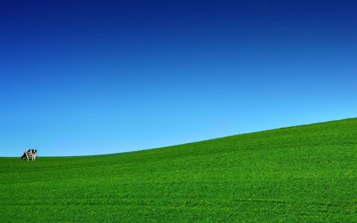 Луг мультяшный