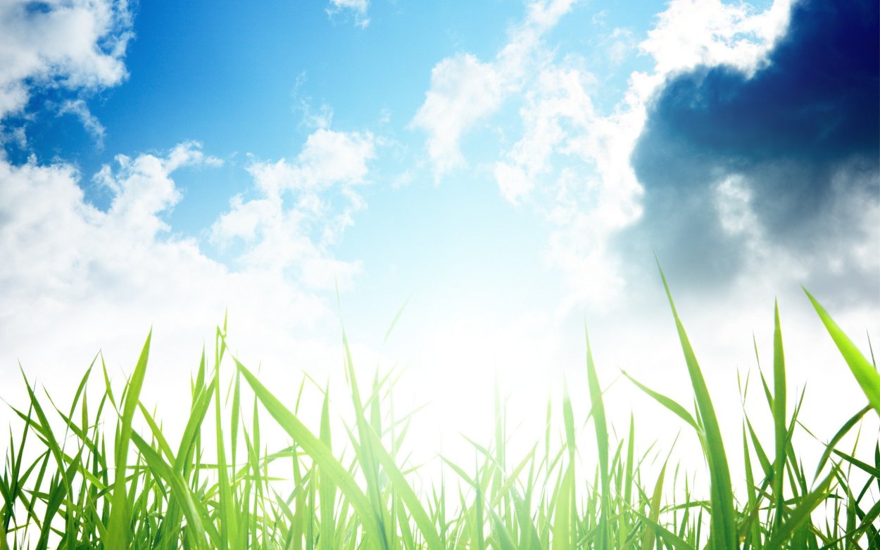 Голубое небо и зелень