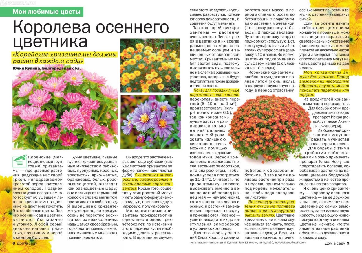 Оранжевый сад игоря степанова многолетники
