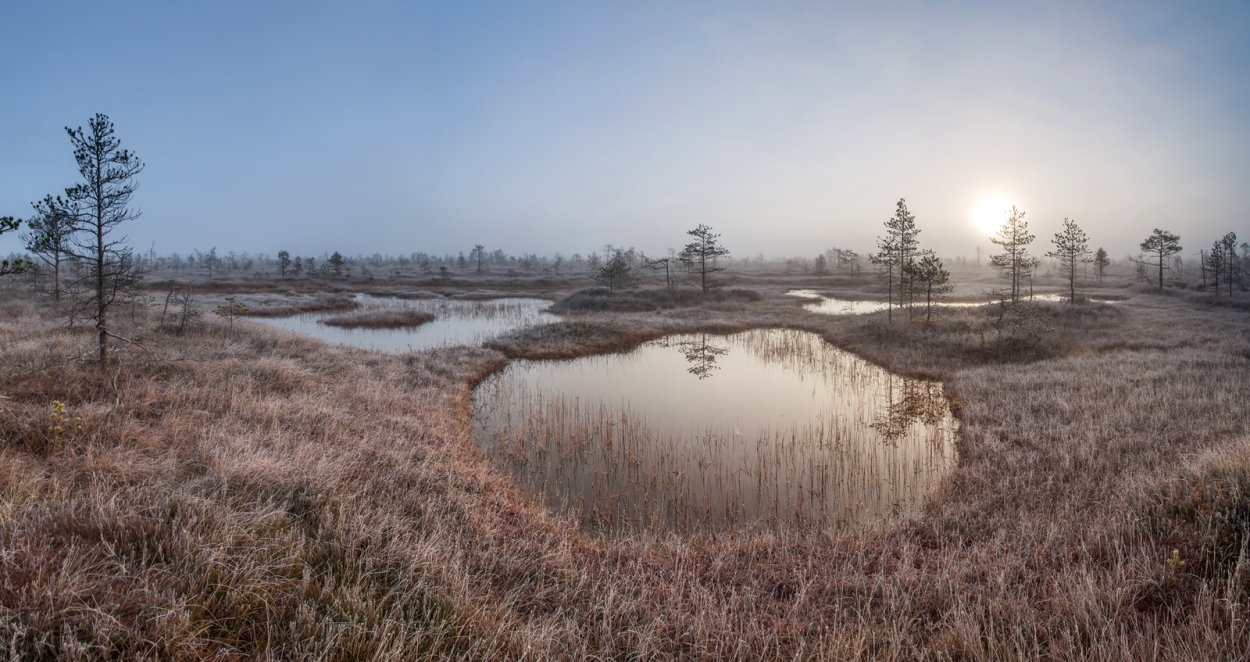 Заказник Глебовское болото