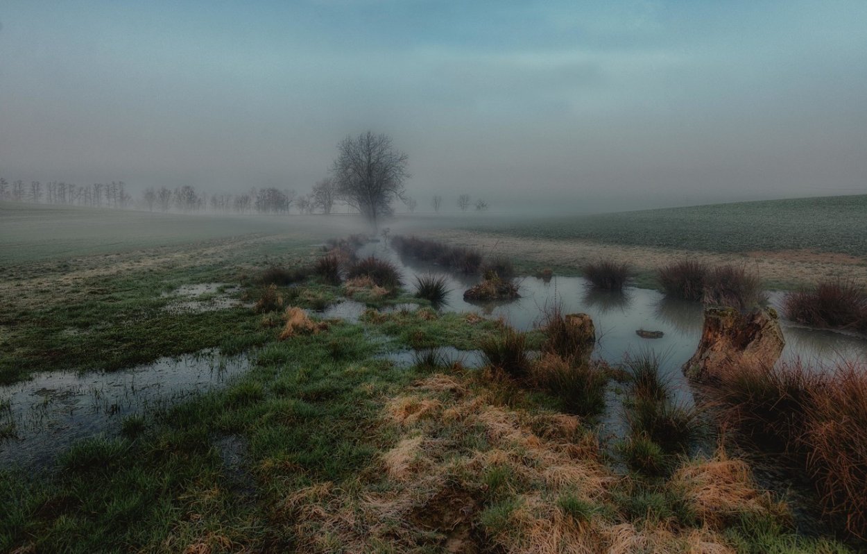 Гримпенская трясина