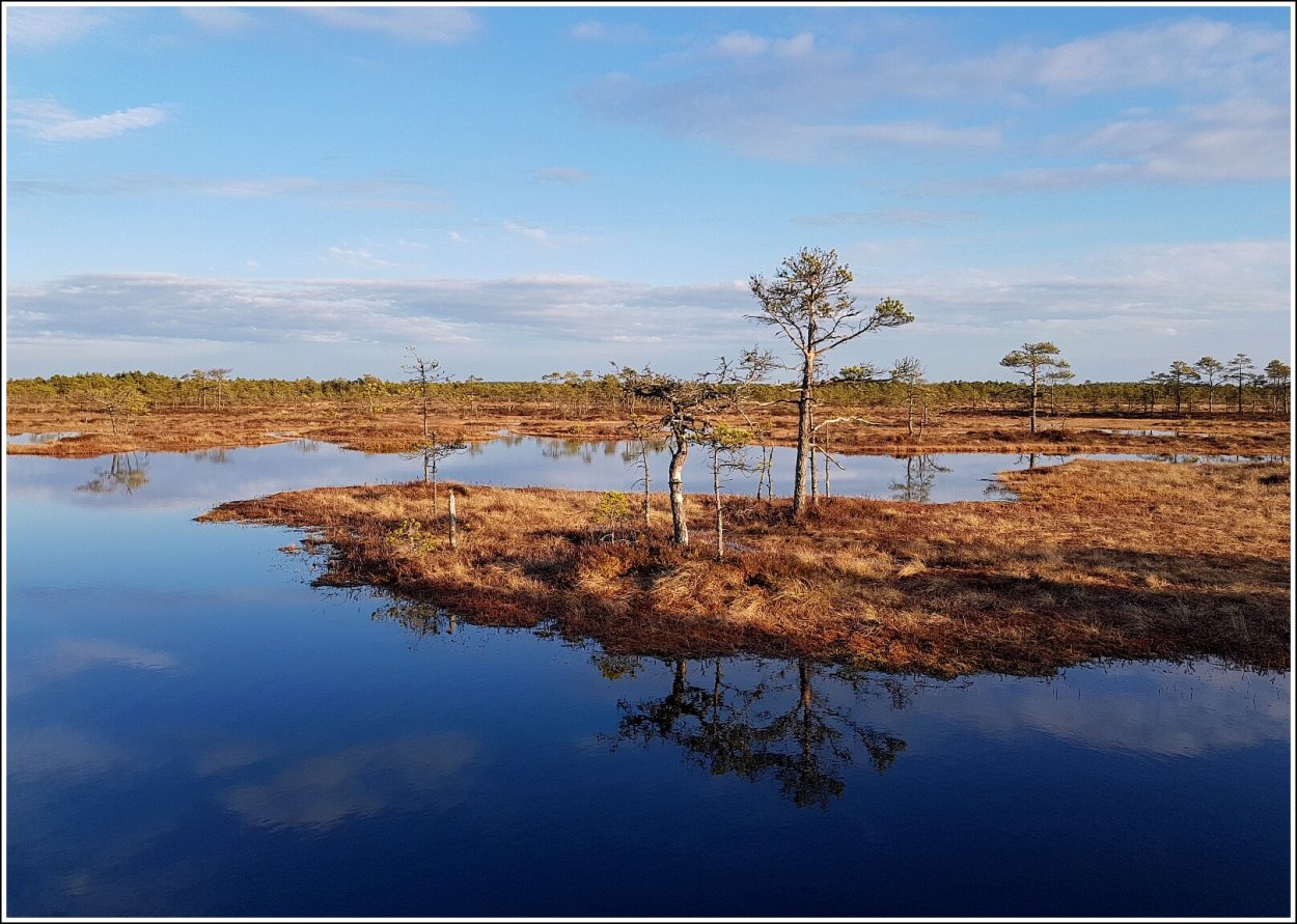 Болота Республики Коми
