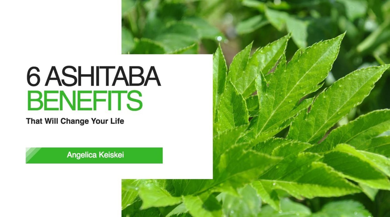 Аситабу Angelica keiskei