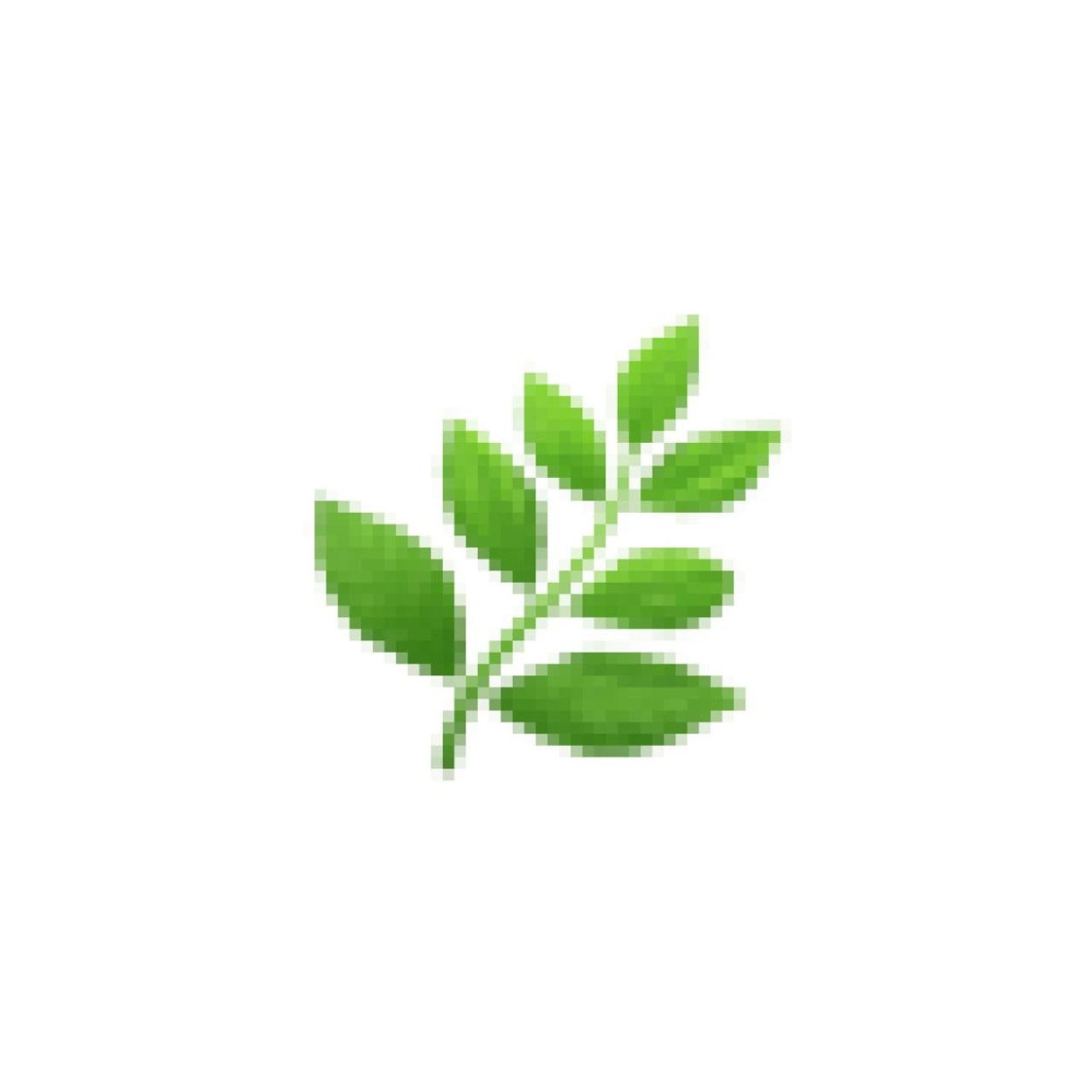 Арктическая Морошка