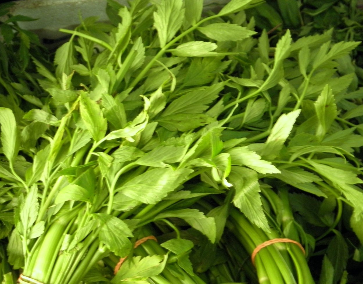 Минари Омежник