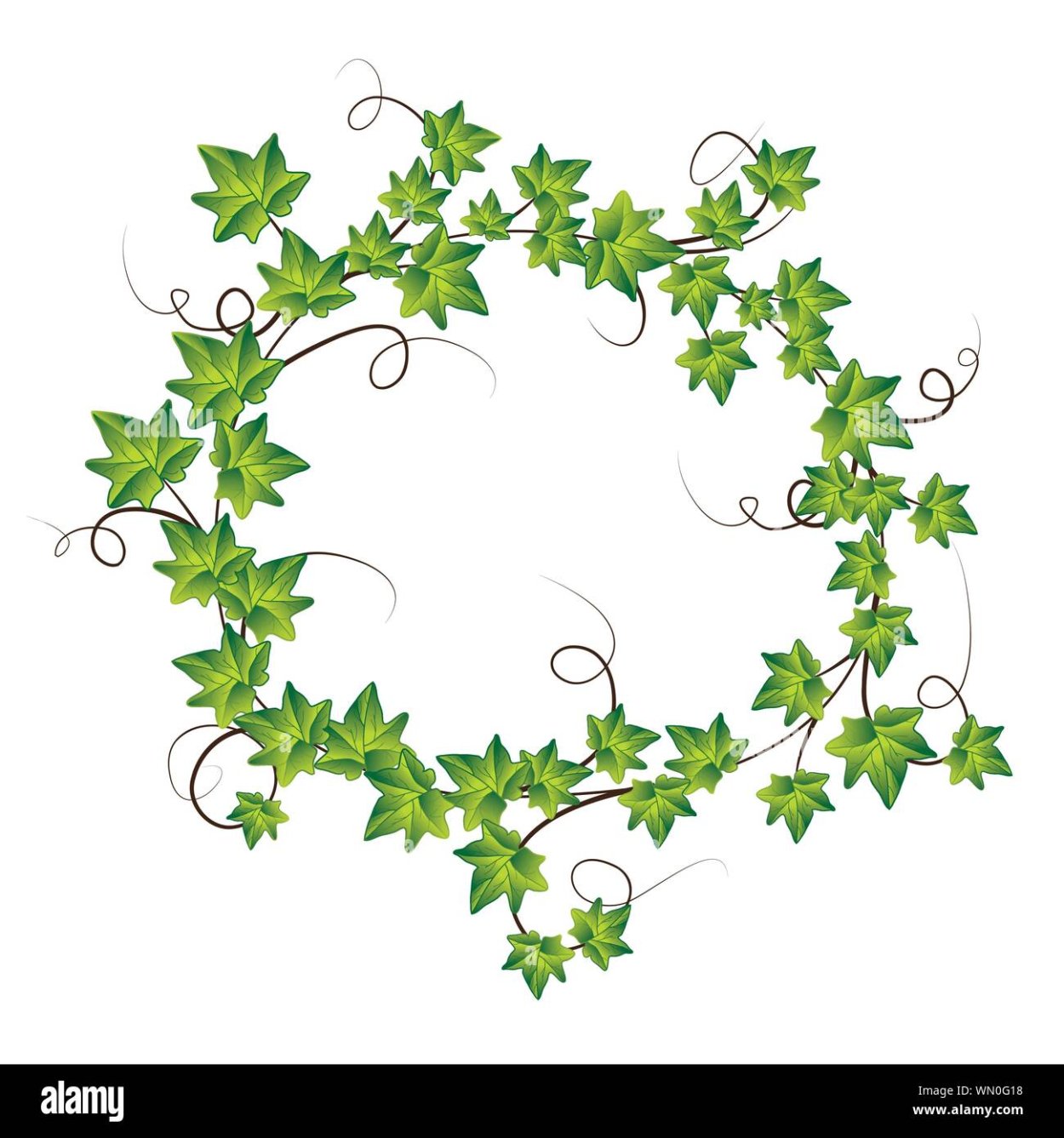 Плющ вектор