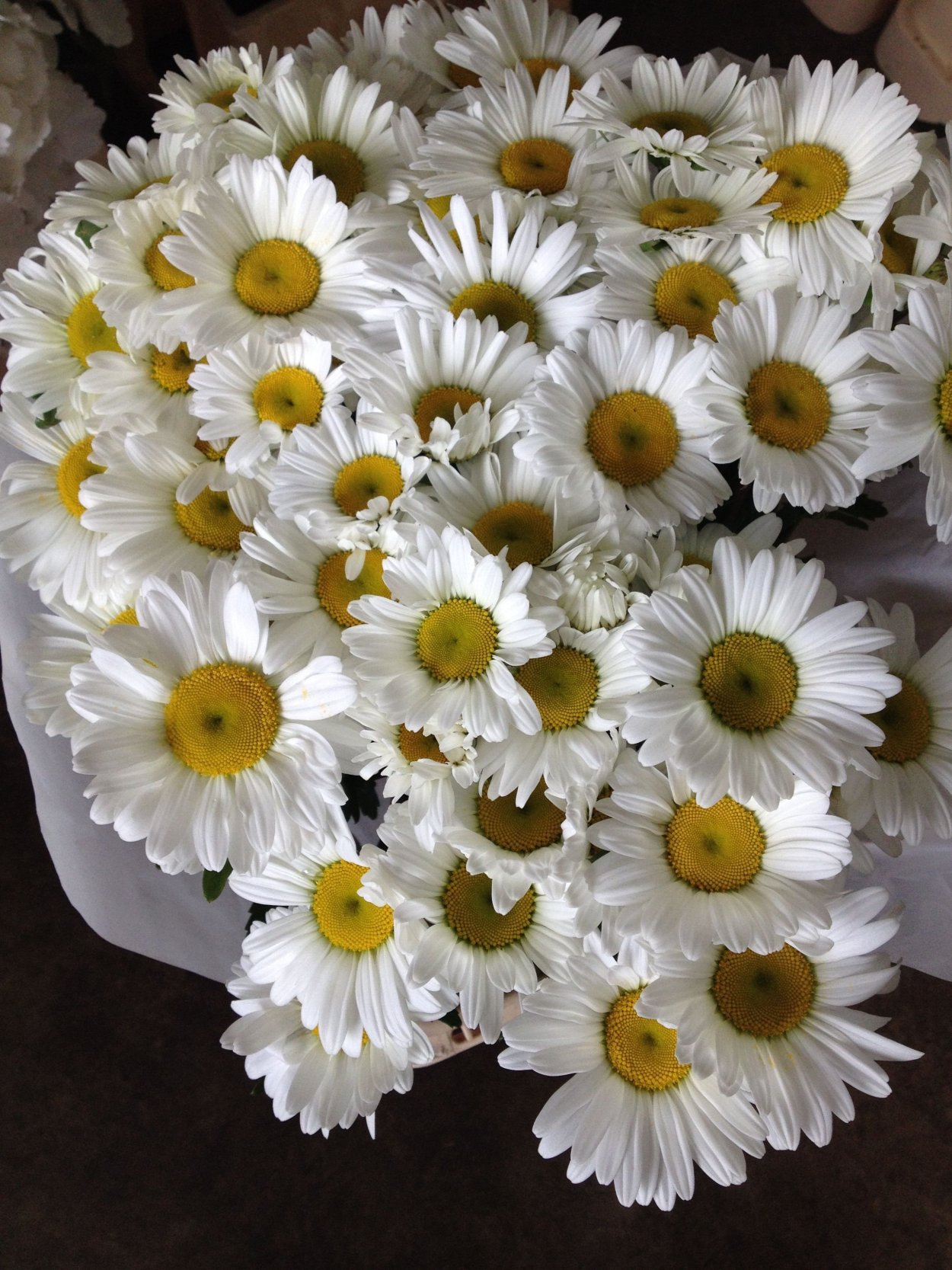 Ромашковый букет хризантем