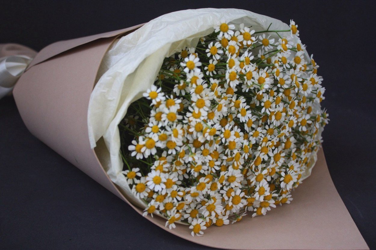 Шикарный букет ромашек