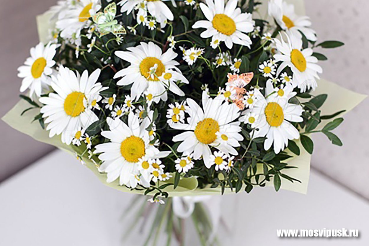 Шикарный букет ромашек