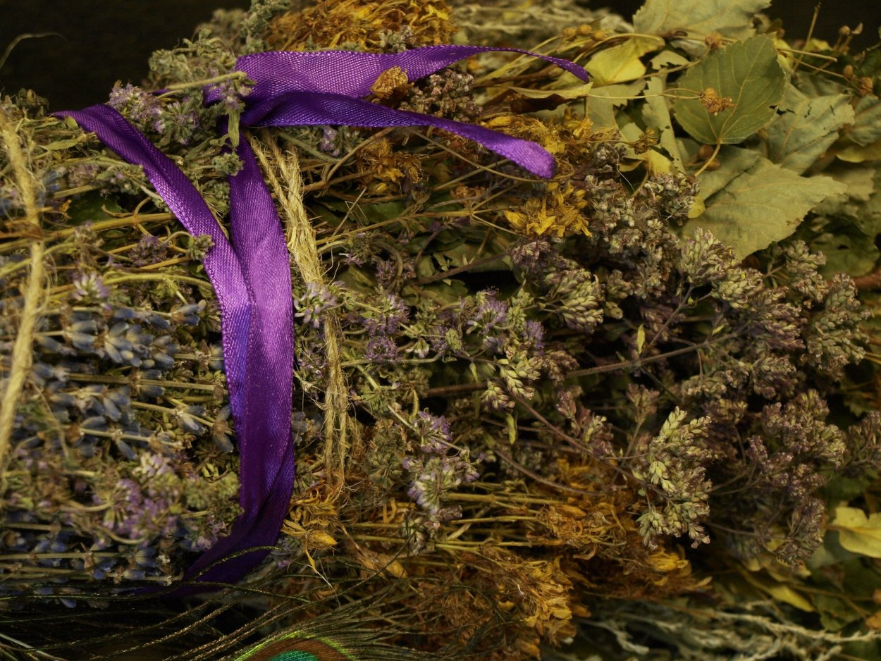 Будра глехома ползучая