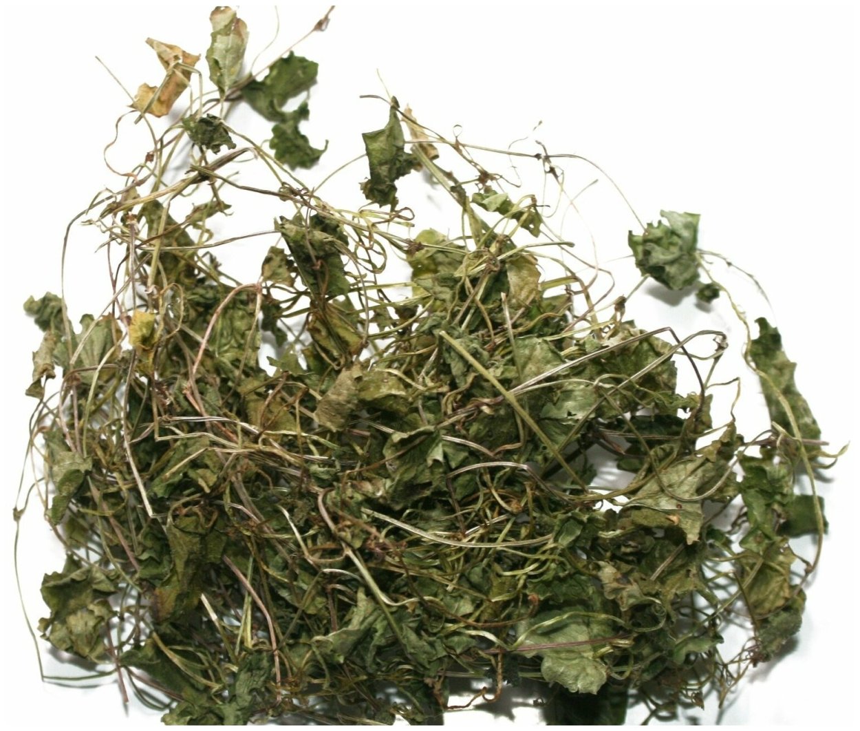 Будра плющевидная медонос