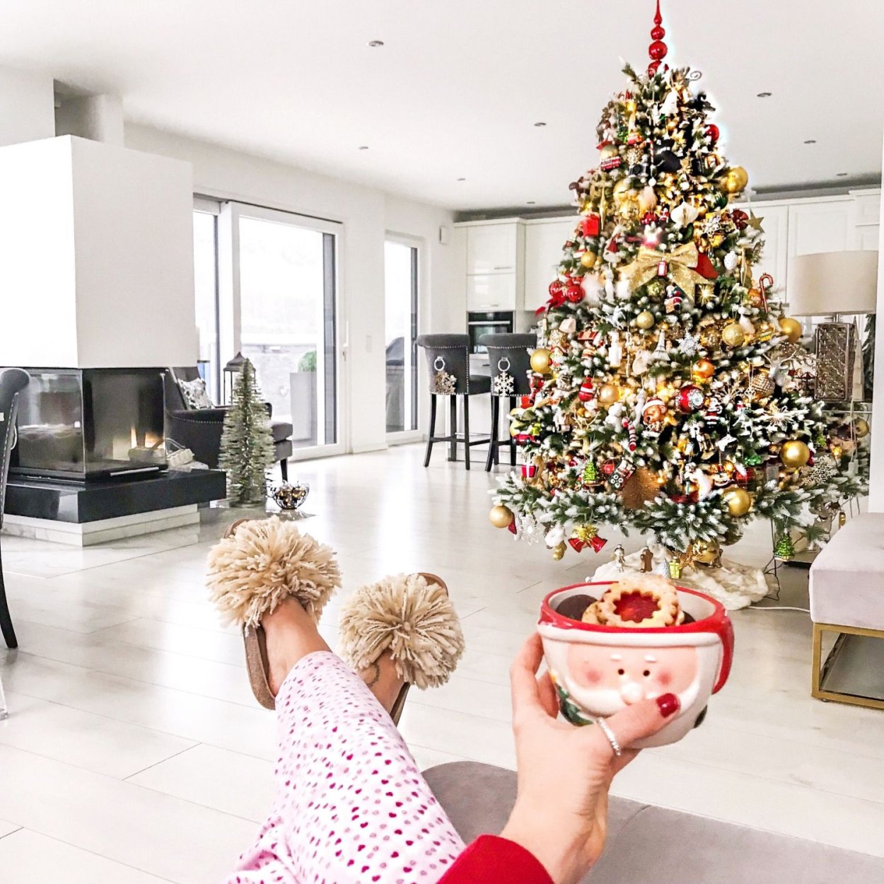 Голубая ель всходы