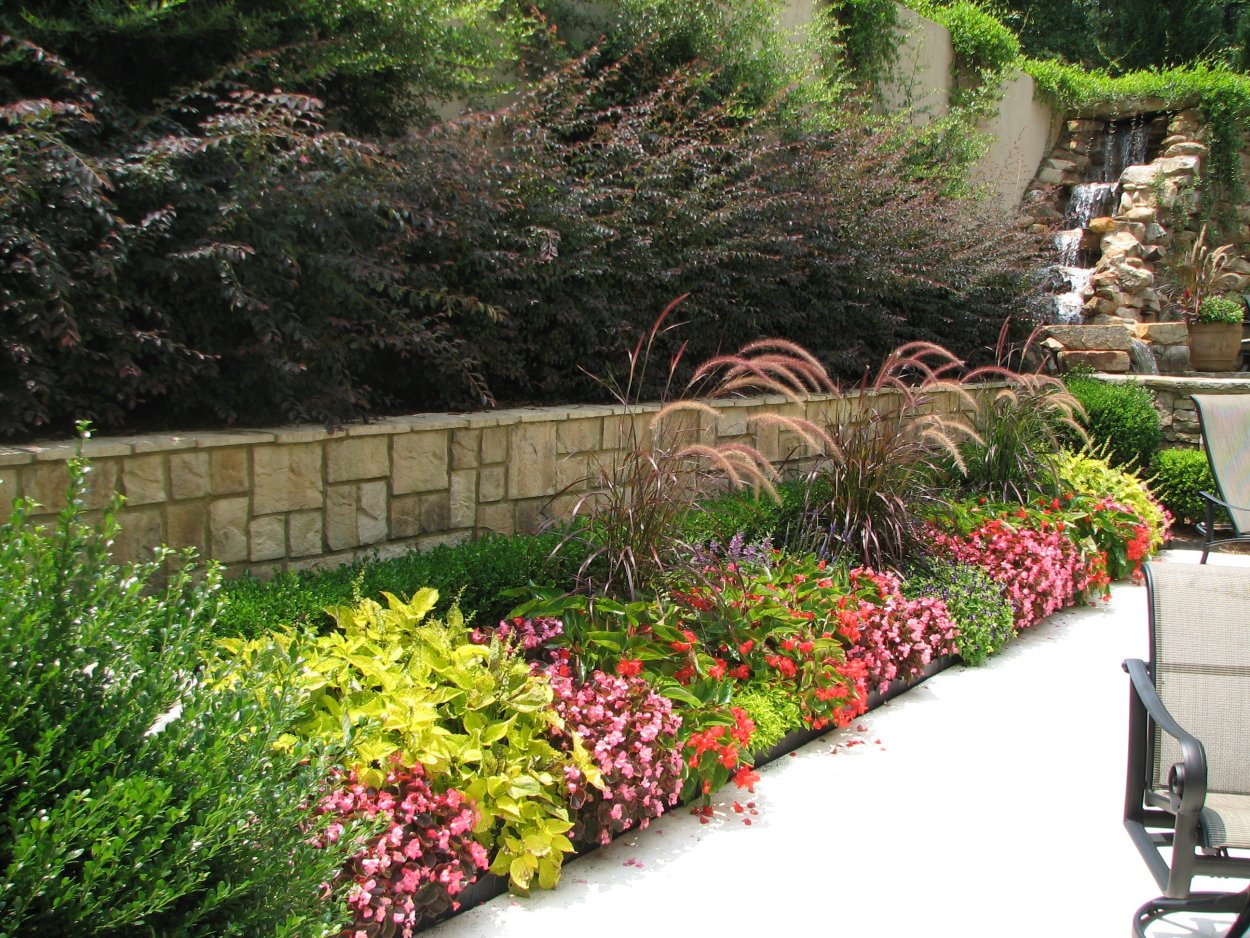 Рабатки миксбордеры