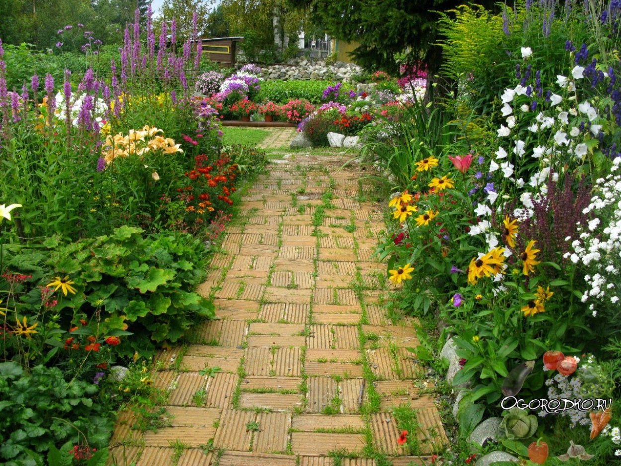 Дорожка из цветов