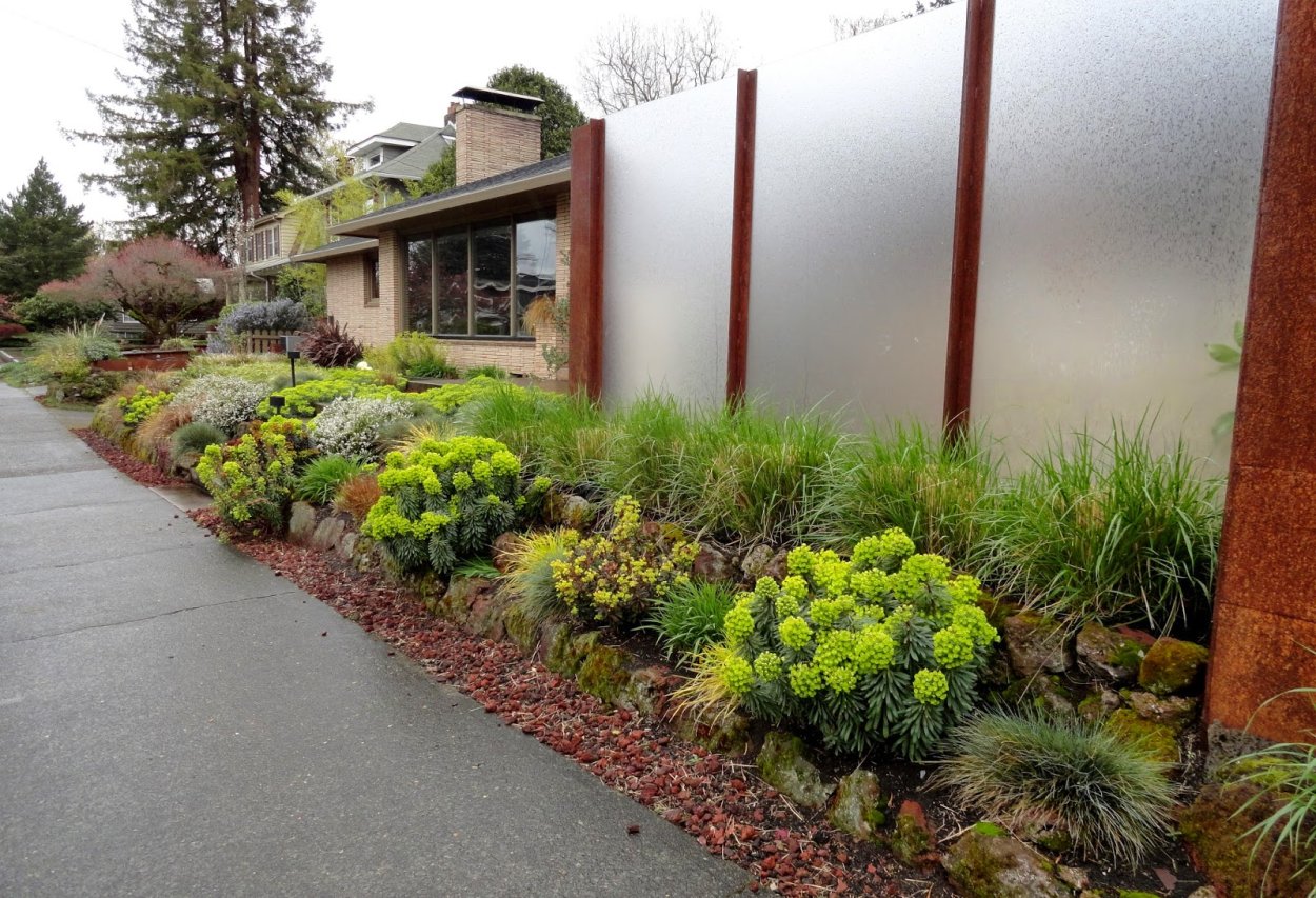 Узкий цветник вдоль дорожки