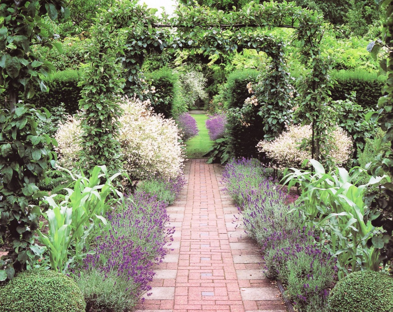 Миксбордеры вдоль садовых дорожек