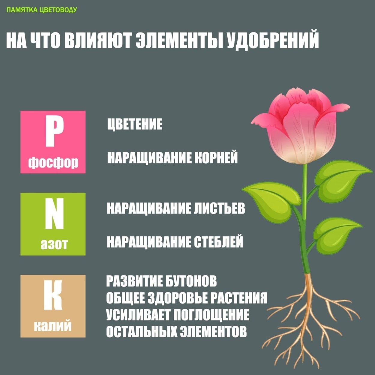 Памятка для цветов
