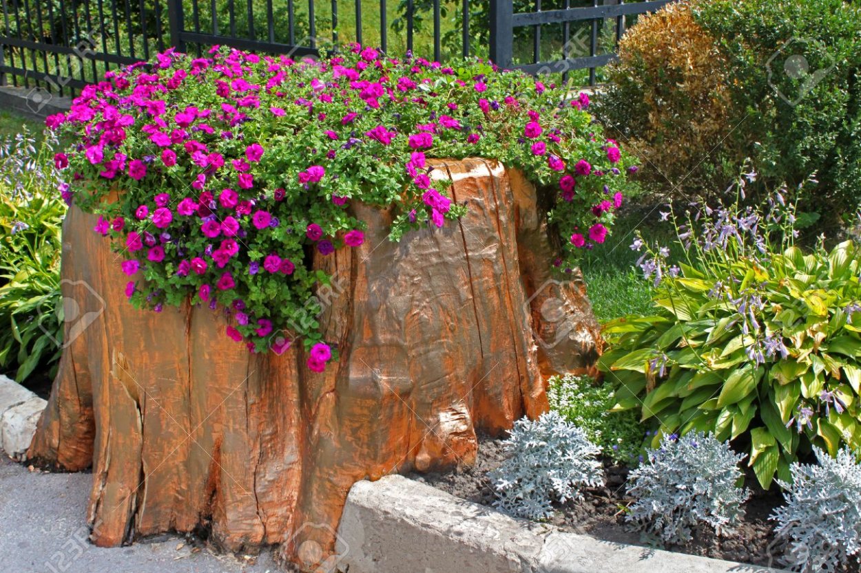 Обустроить пеньки на участке