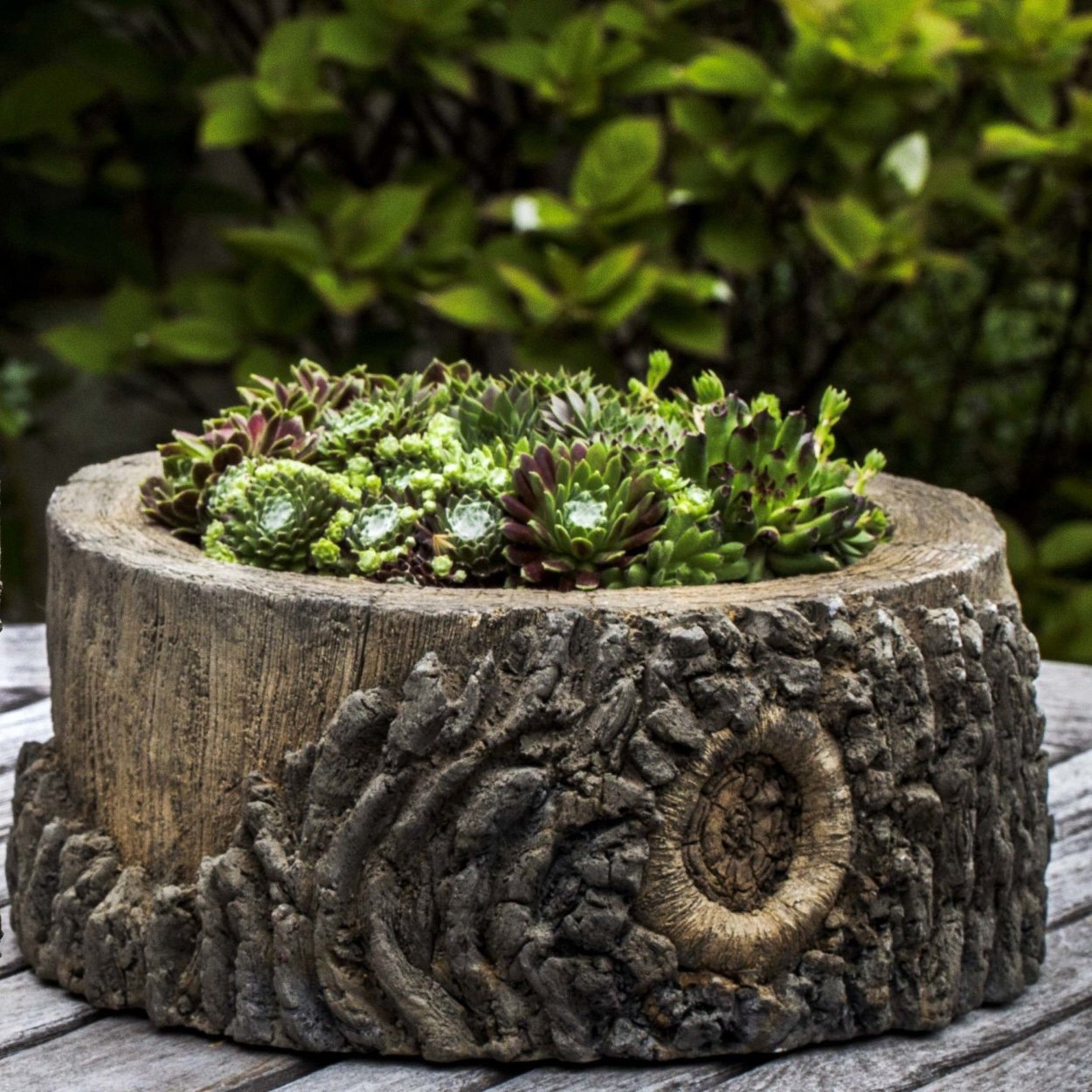 Новогодняя композиция на спиле