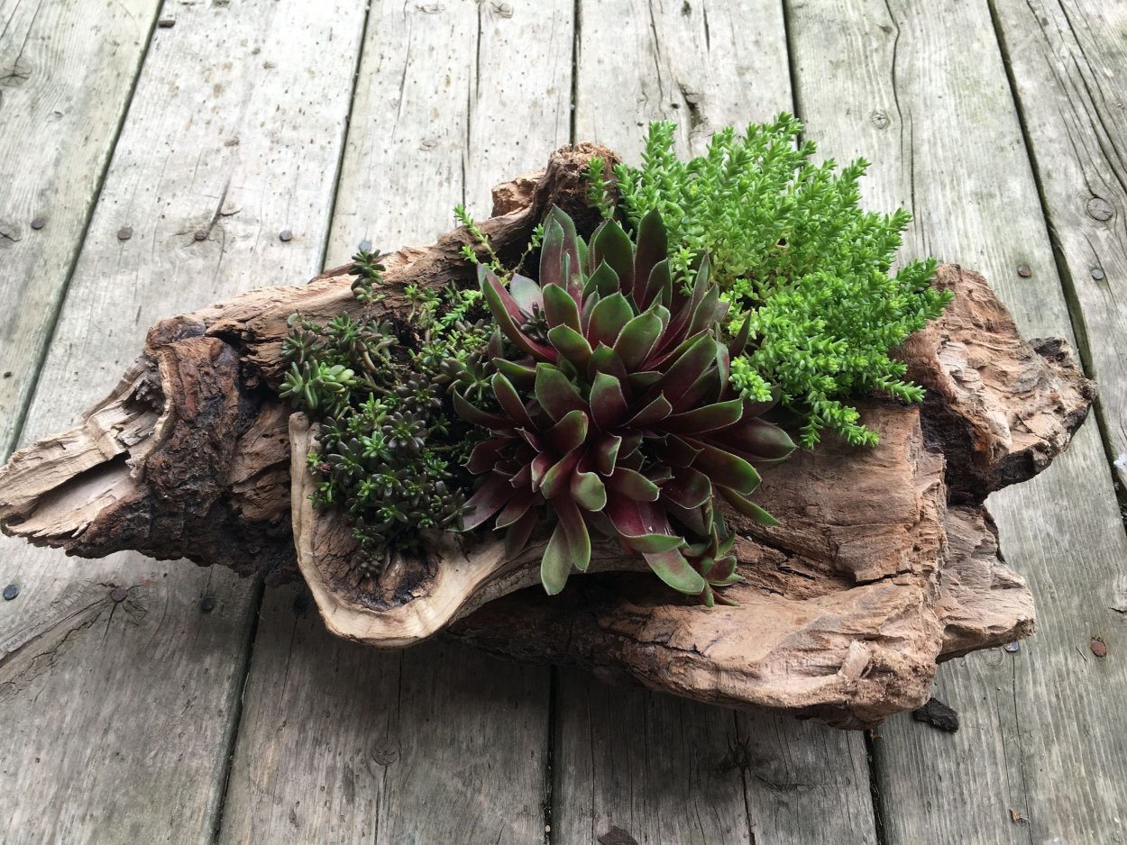 Flowers Garden log