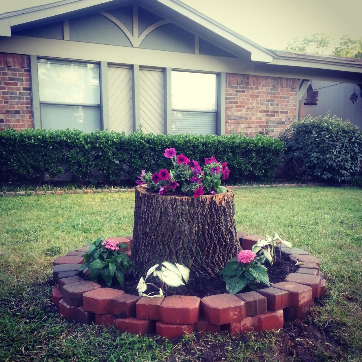 Цветочные горшки из дерева