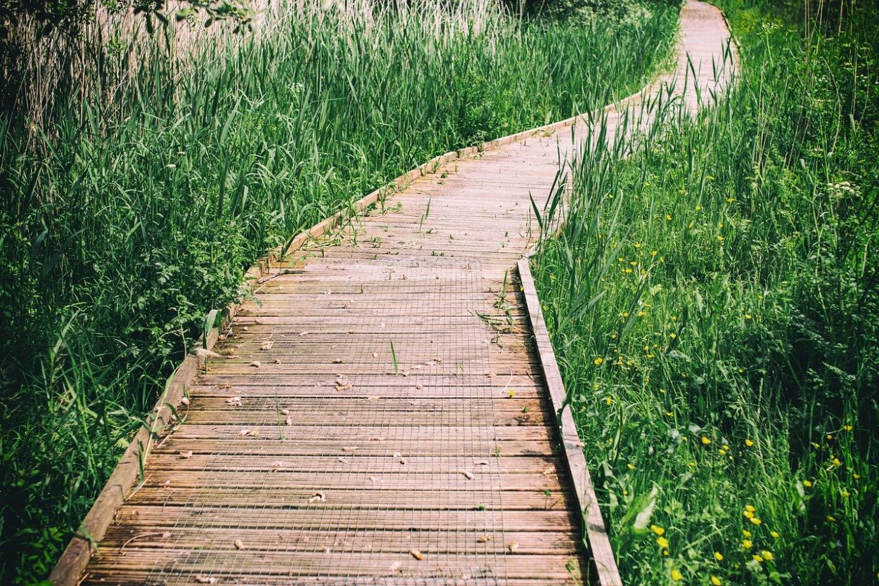 Деревянные дорожки на даче