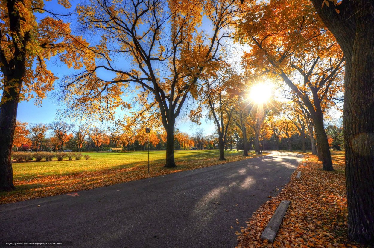 Ранняя осень в городе