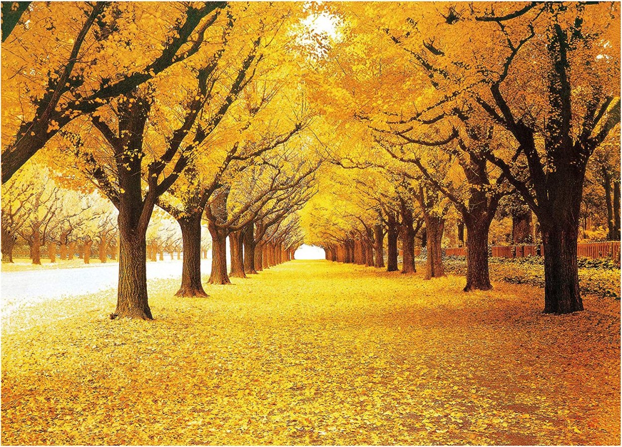 Пейзажи Марины Гордеевой