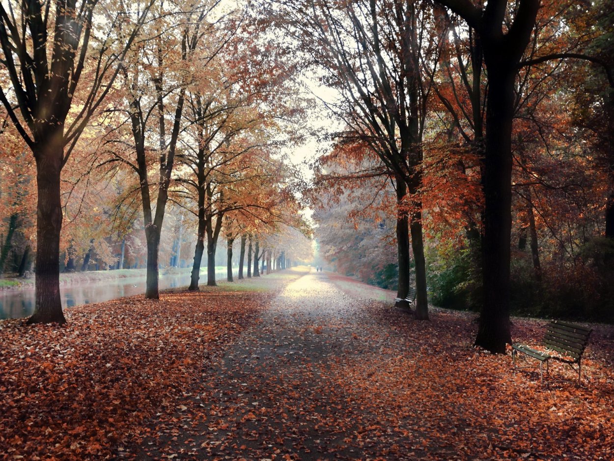 Осенняя Эстетика в парке