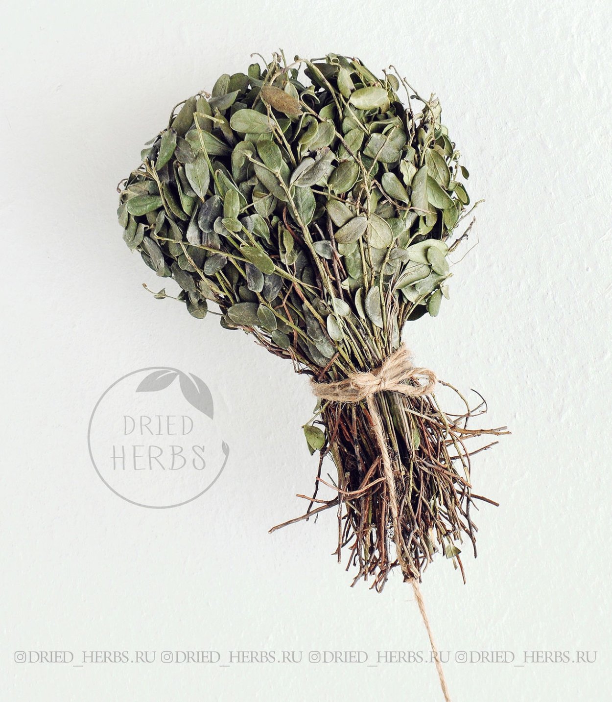 Горные лечебные травы