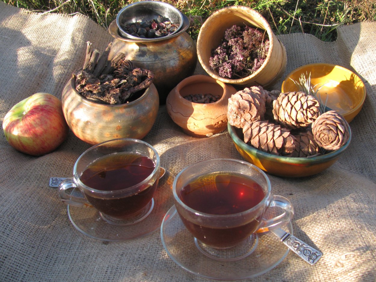 Лечебные растения