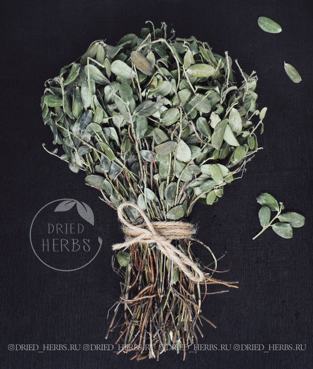 Лечебные травы Дагестана