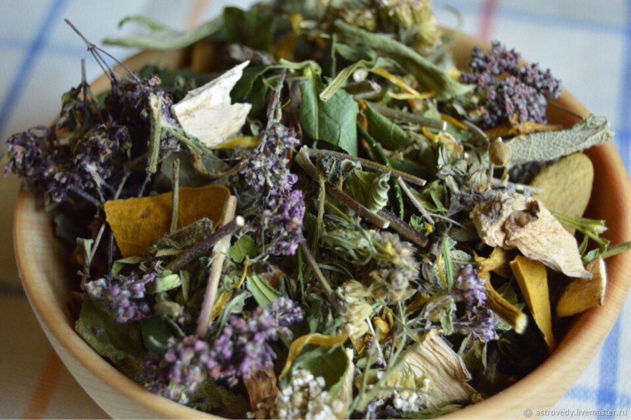 Альпийские Луга Северной Осетии