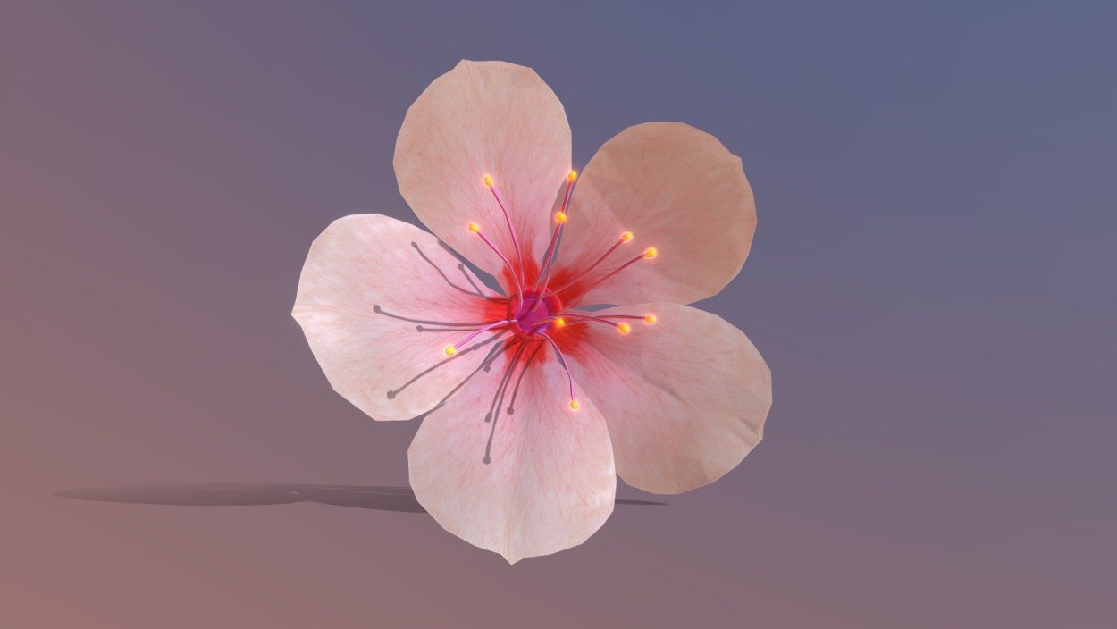 Цветы с острыми лепестками