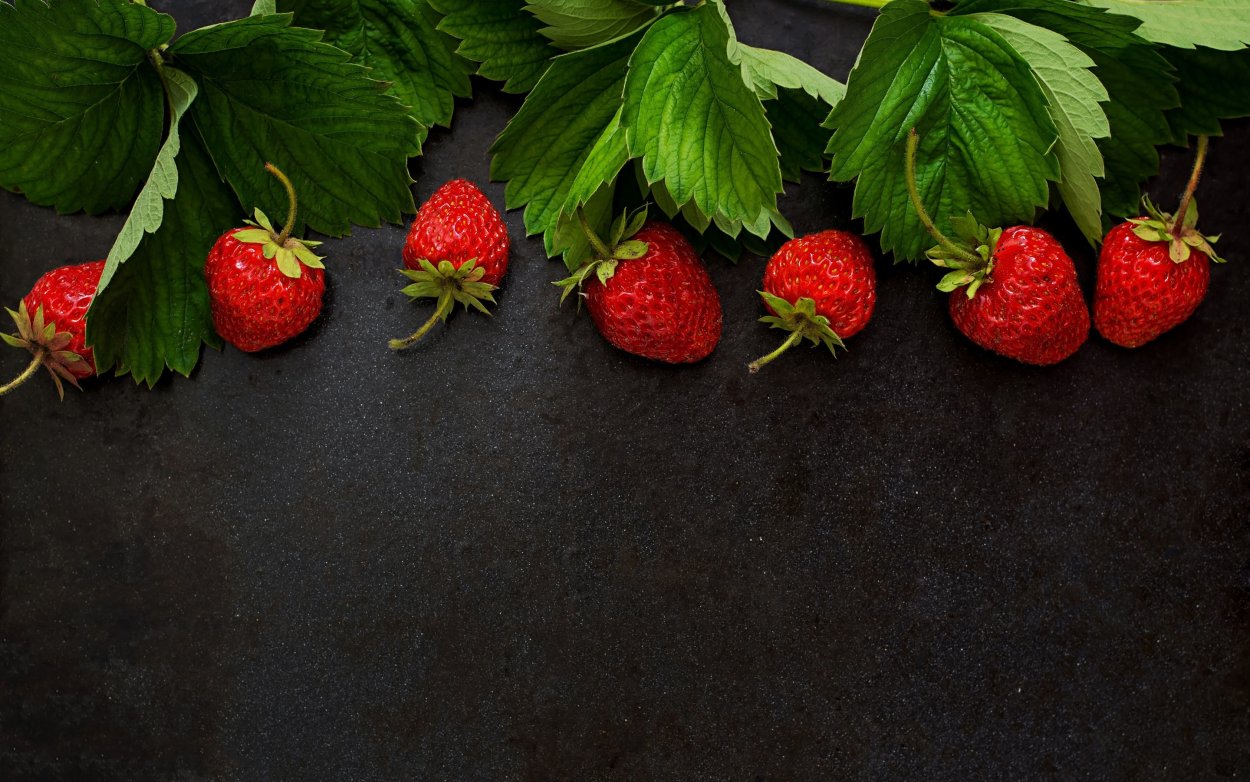 Листья клубники на белом фоне