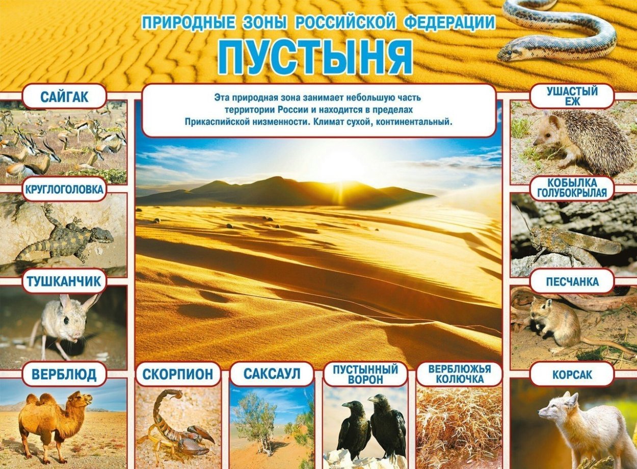 Пустыни россии