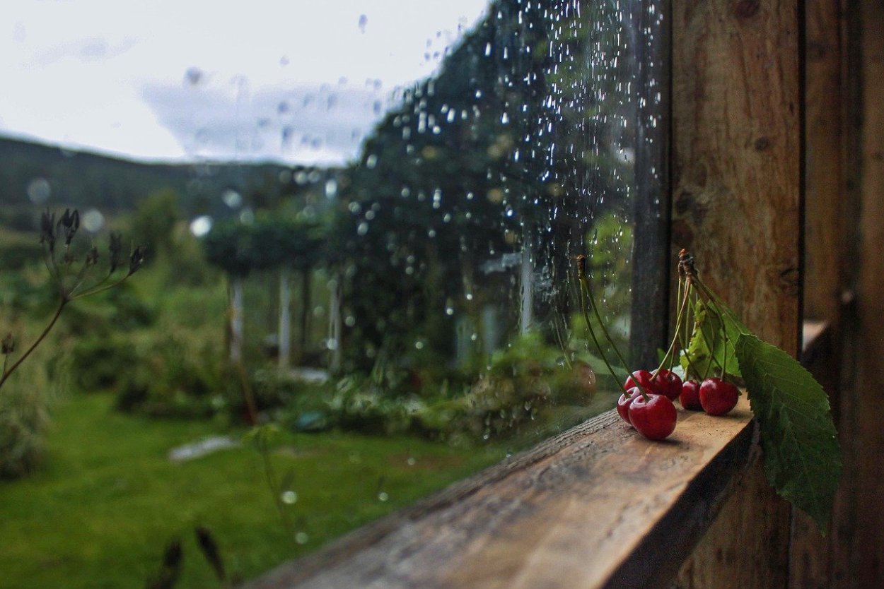 Дождь за окном