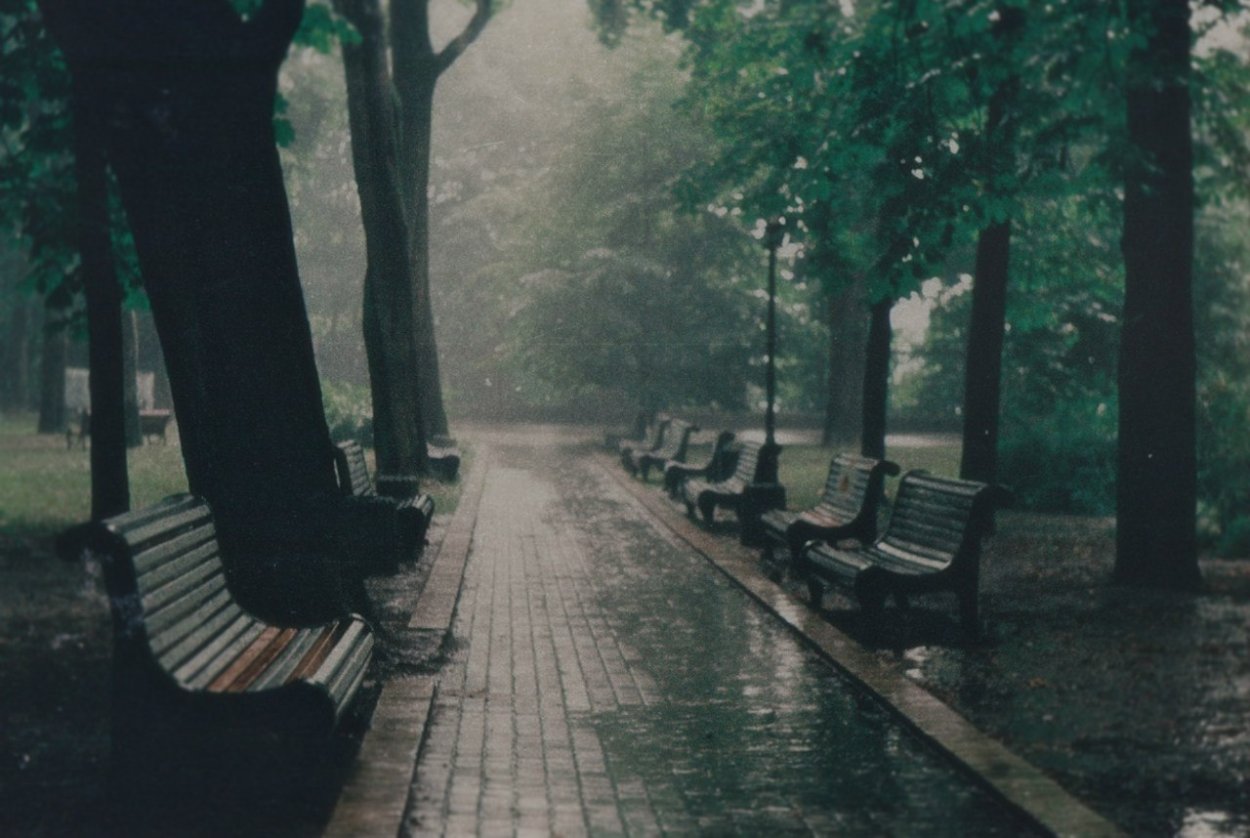Скамейка в парке дождь