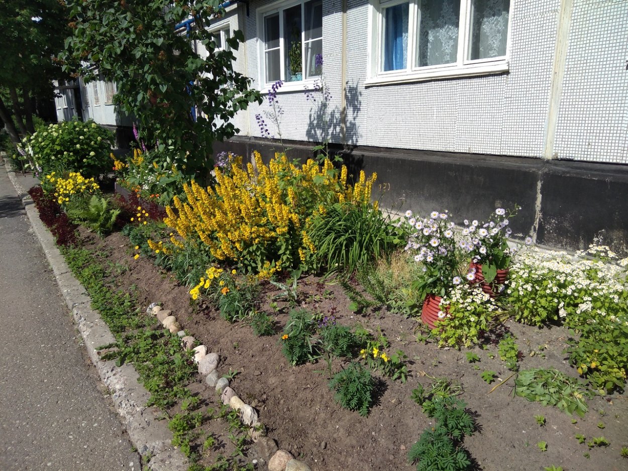 Красивая клумба перед домом