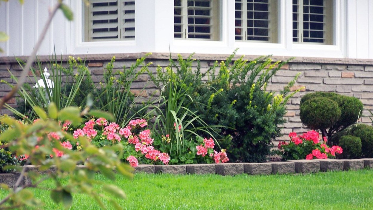 Палисадник с цветами и газоном