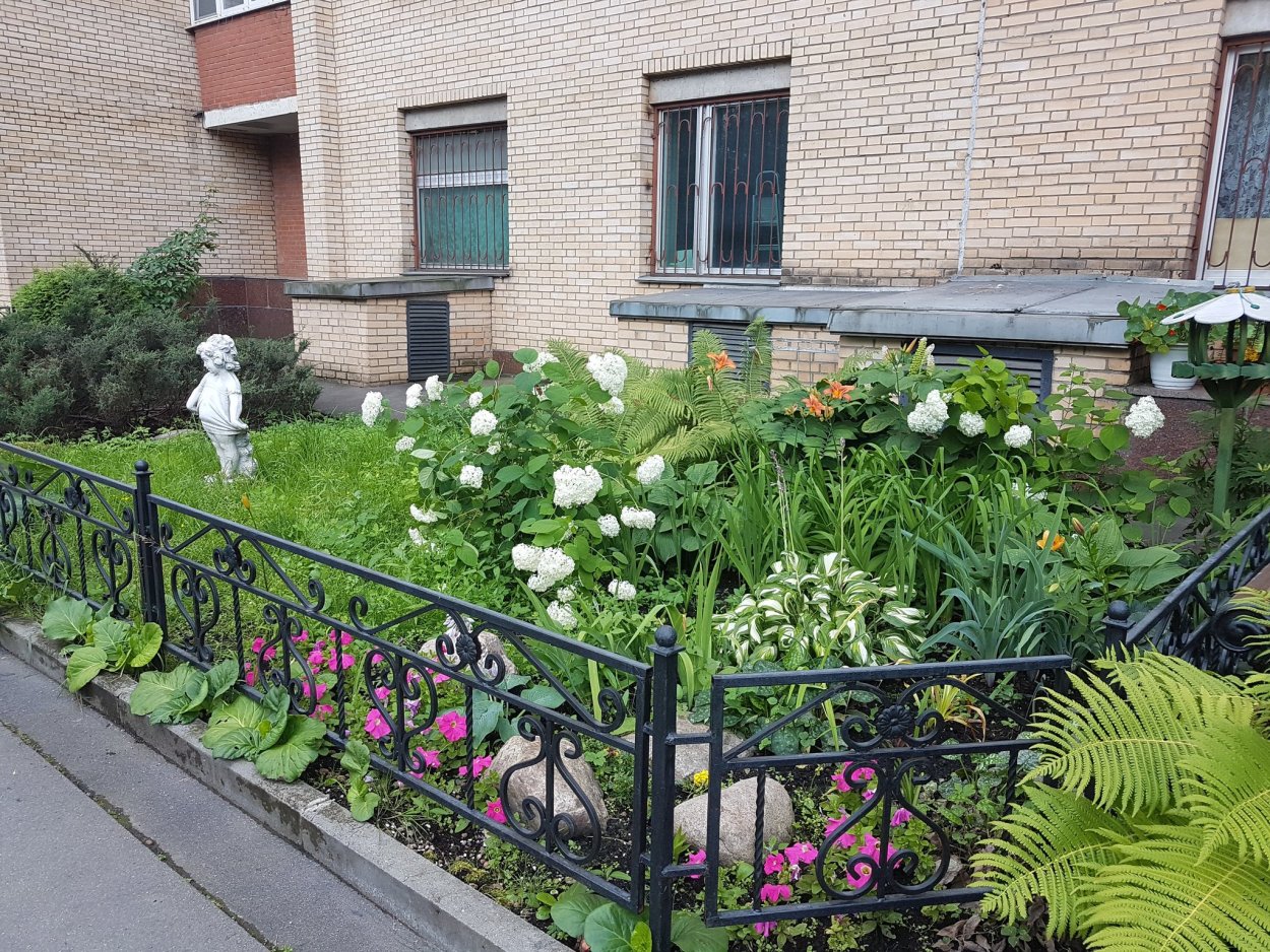 Палисадник в Пушкино на Крылова