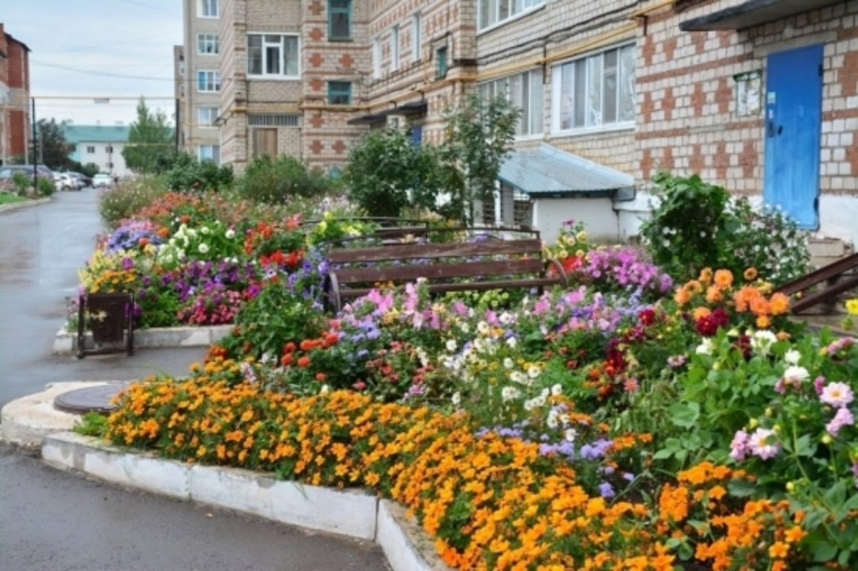 Клумба у многоэтажки