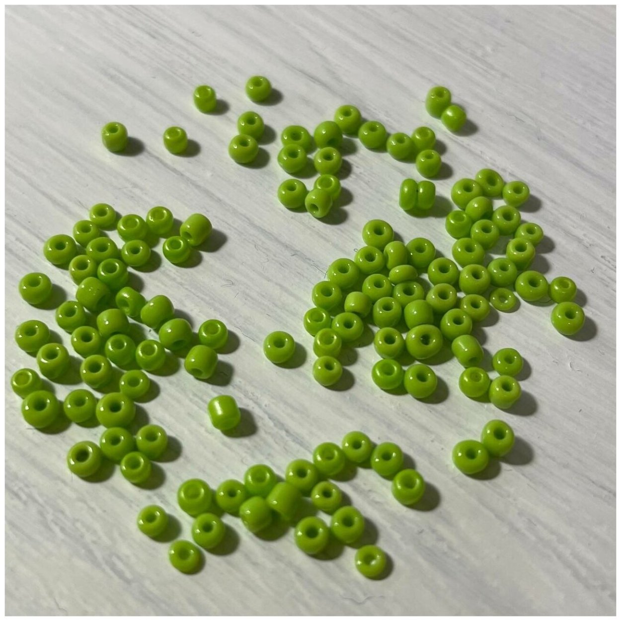 Липучка ежевидная (Lappula squarrosa),