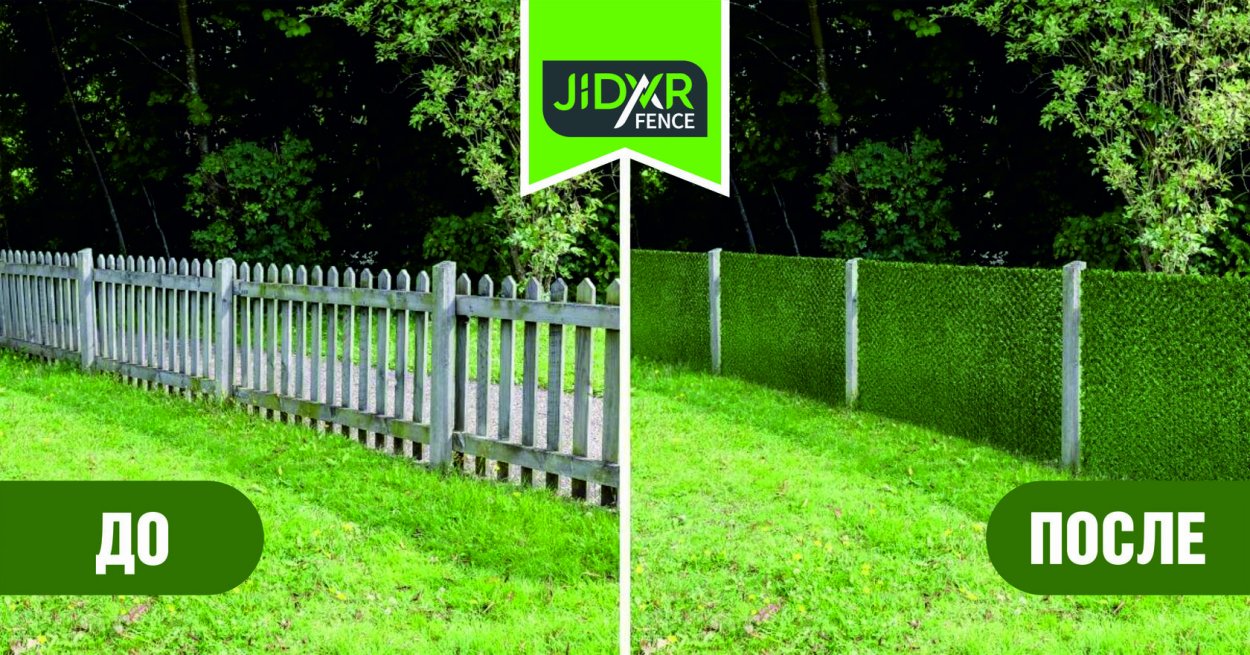 Самшит изгородь