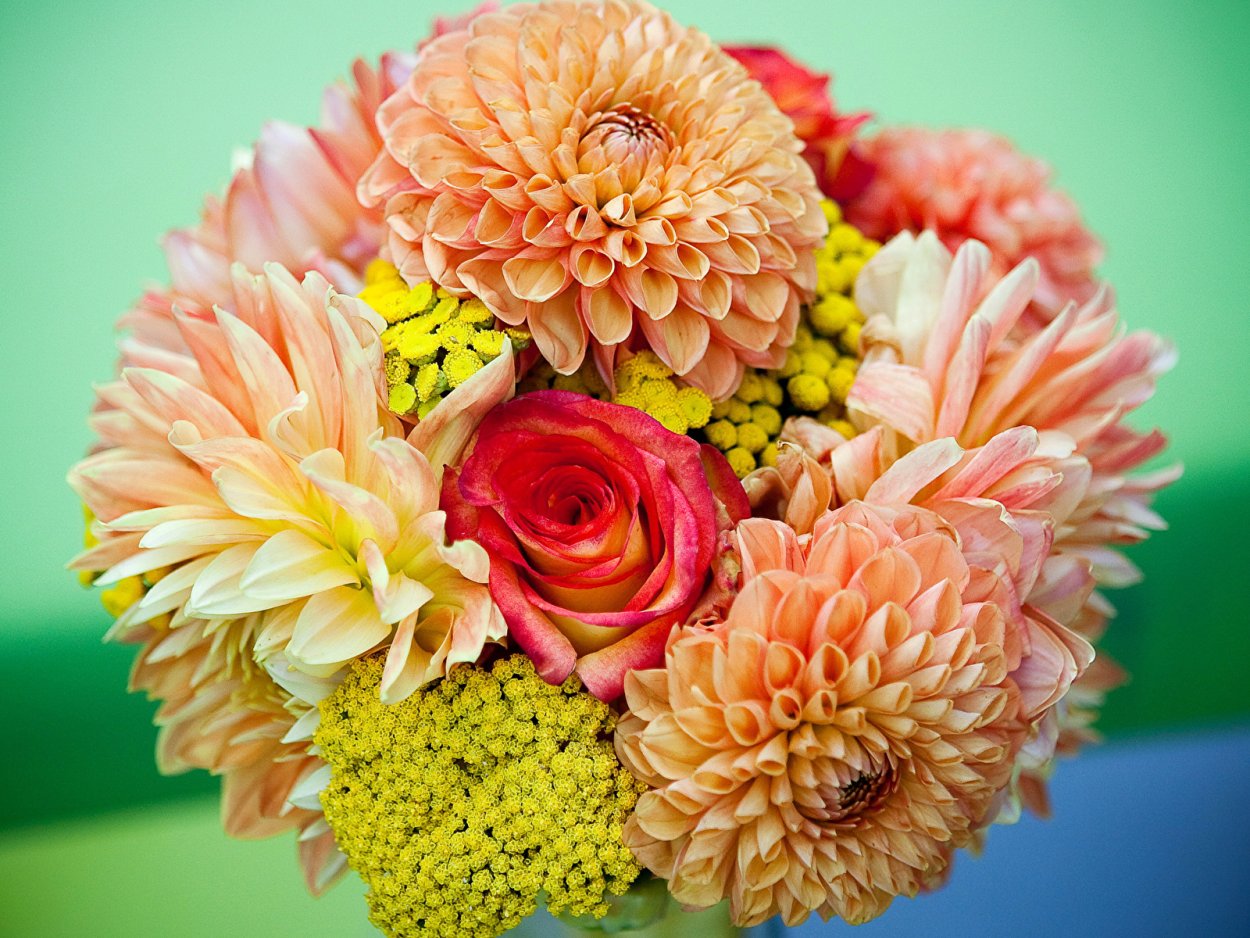 Букеты георгины и хризантемы