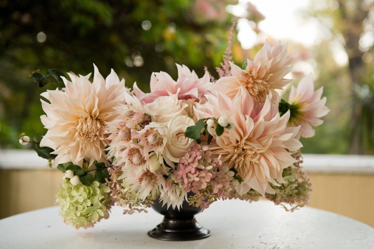 Букет георгины Дахлия гортензия